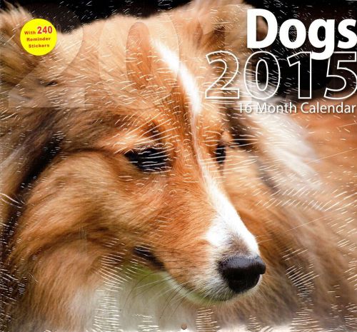 Dogs - 2015 16 Month WALL CALENDAR with 240 Stickers - 12x11