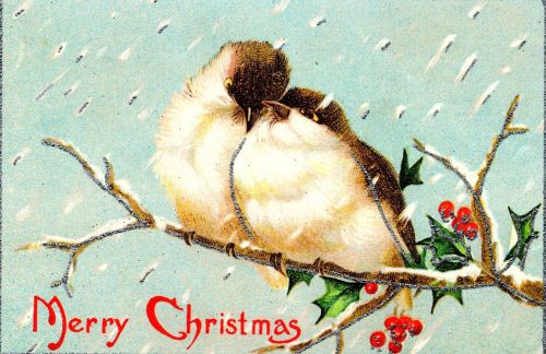 30 Personalized Return Address Labels Christmas Birds Buy 3 get 1 free (zz30)