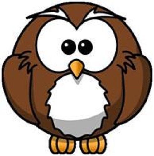 30 Custom Brown Owl Personalized Address Labels