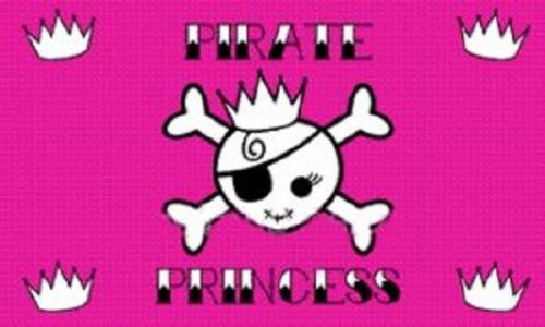 Pirate Princess Cartoon Flag 3x 5&#039; Indoor Outdoor Banner