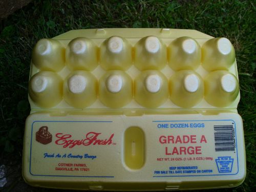 60 egg cartons yellow