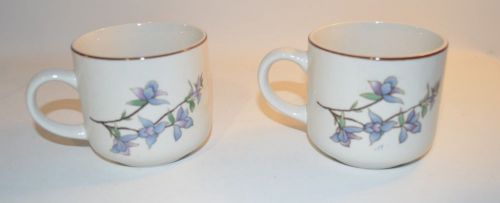 Set of 2 Woodhill by Citation Coffee Tea Cup Blue Flowers China
