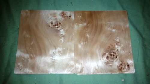 Mappa burl leafs @ 6.5 x 5.5 wood veneer (v1670) for sale