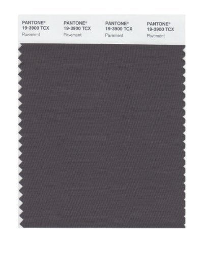 Pantone 19-3900 TCX Smart Color Swatch Card, Pavement