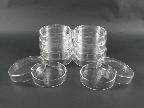Lot of 10 - Borosilicate Glass Petri Dishes w/ Covers  100 mm Diameter