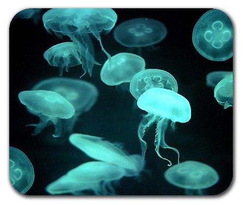 New Deep Dark Ocean Drifters Jellyfish Animal Mouse Pad Mousepad Mat