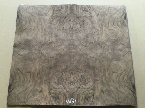 Wood Veneer Walnut Burl 22x20 1 Piece 10Mil Paper Backed &#034;EXOTIC&#034; WB1 4-6-16