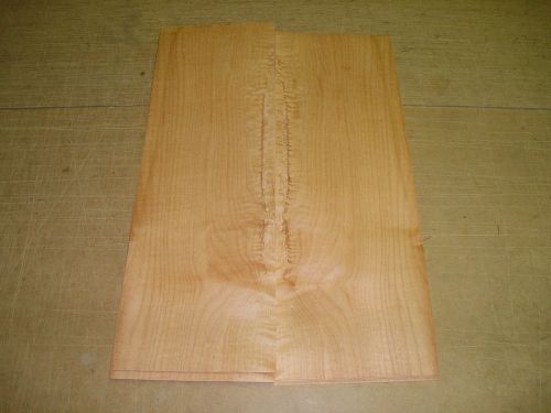 Maple Cluster Wood Veneer. 6.5 x 19, 10 Sheets.