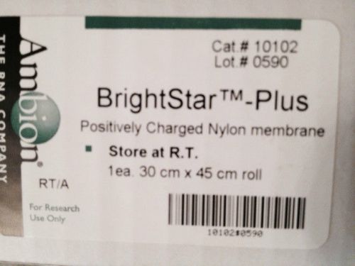 Ambion 10102, Brightstar-Plus Positively Charged Membrane 30cm X 45cm