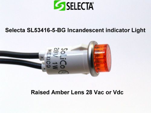 Selecta SL53416-5-BG Incandescent indicator Raised Amber Lens 28 Vac or Vdc