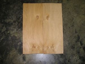 Oak Cluster Burl Wood Veneer. 7.5 x 20, 11 Sheets.