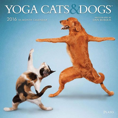 Yoga Cats &amp; Dogs 2016 Wall Calendar New Meaning To Downward Facing Dog, Cat Pose