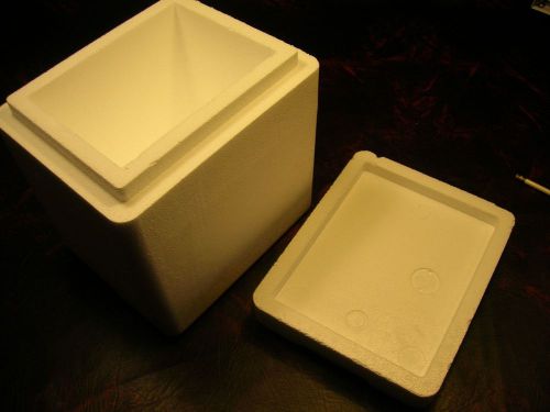 Cooler Styrofoam 12x12x10b18