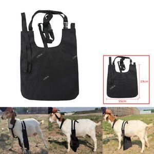 Anti Mating Odor Control Urine Scald Apron w/ Centeredon Harness ForSheep/Goats