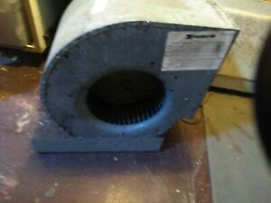 Squirrel cage furnace blower with motor