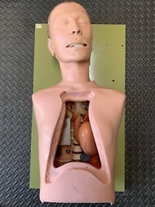 CPR/ Heart /Lung Training Mannequin Aid Open Chest Organs CLA For Parts
