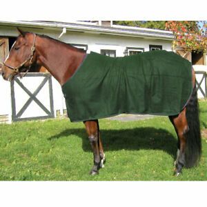 High Spirit Horse Equipment DSWSMHG Wool Day Cooler, Hunter Green - Small
