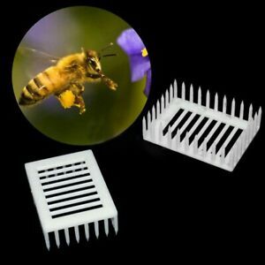 Replacement Queen Bee Cages Tools Beekeeper Beekeeping Equipment Durable