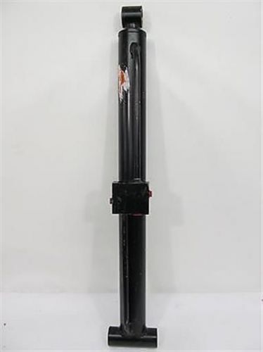Case, BN313218, Hydraulic Cylinder