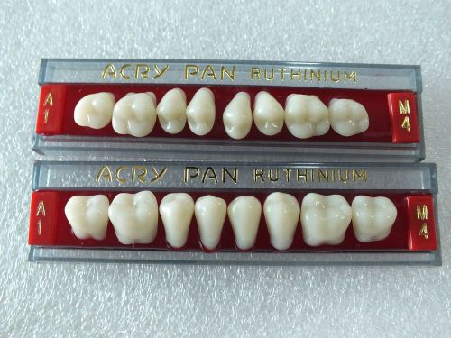 Dental Jaw Denture Acrylic Teeth set of 16 Acrypan Italy Ruthenium