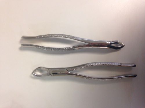 Dental Extraction Forceps 88R
