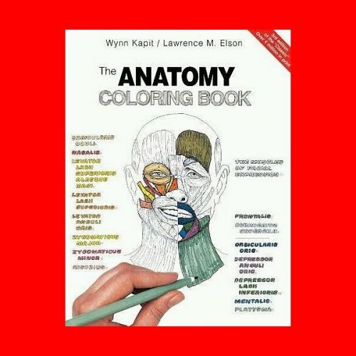 ?the anatomy coloring book:medical,osteopathy learn physiology,illustrated study for sale