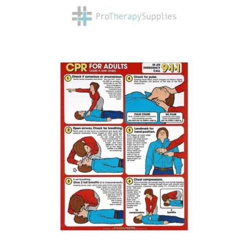 Anatomical cpr guideline for adults laminated chart for sale