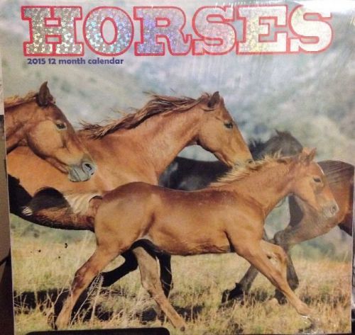 HORSES 12 MONTH 2015 LARGE WALL CALENDARS..FAST SERVICE.