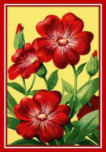 30 Custom Classic Red Flower Art Personalized Address Labels