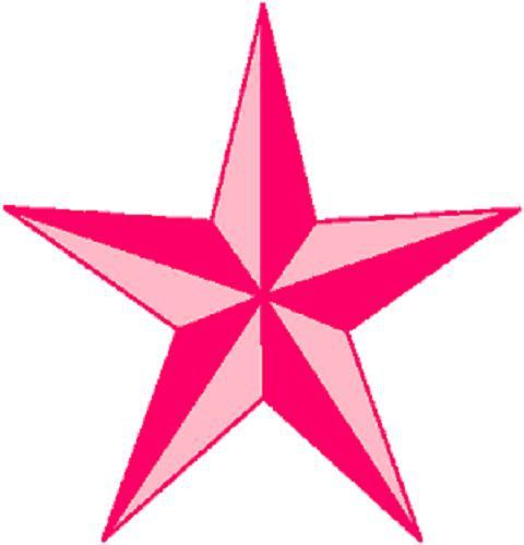 30 Custom Pink Star Personalized Address Labels