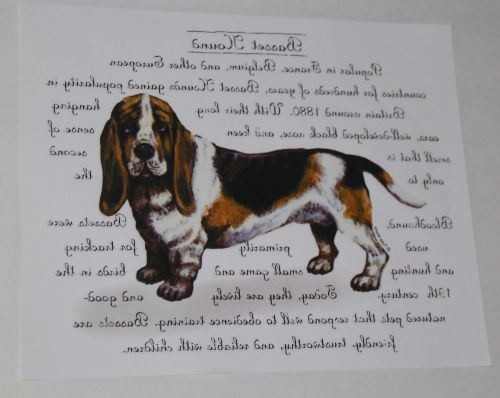 Package of 100 Full Color Printing Heat Transfers Basset Hound New in Package
