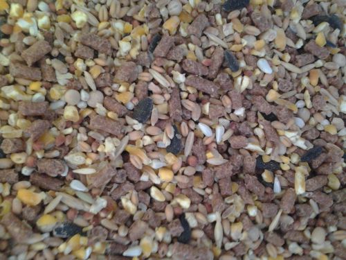 SHOWBIRD /GAMEBIRD MULTI-GRAIN FEED 12+lbs. FOR CHICKEN DUCK