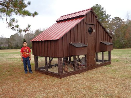 Flockwood Coop - 6&#039; x 12&#039; x 9&#039;-3&#034; extra tall *solid  - Big Chicken Coops