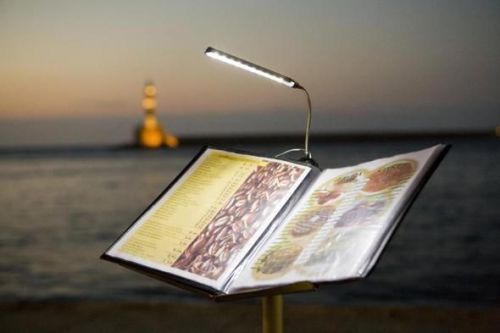 Wireless 10LED Light with clip for catalogs &amp; signs /lectern.