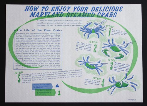 PAPER PLACEMATS 25 PACK BLUE MARYLAND CRAB DESIGN FREE SHIPPING