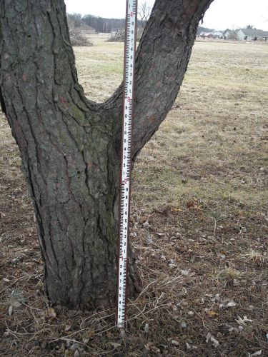 David white surveyors grade rod - 9 1/2 ft for sale