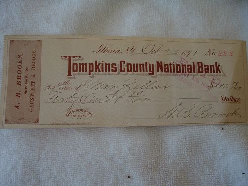 ITHACA NEW YORK-1891 TOMPKINS COUNTY NATIONAL BANK-CANCELED CHECK