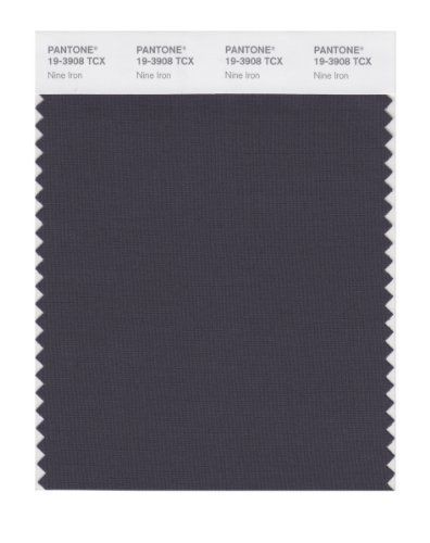 Pantone PANTONE SMART 19-3908X Color Swatch Card, Nine Iron