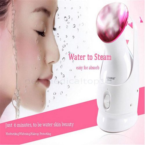 220V Face Steamer Nano steam cosmetology instrument Ion spray machine KingDom