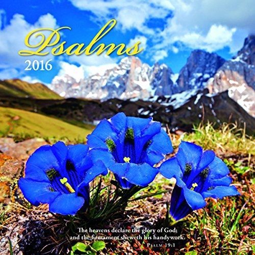 Turner Psalms 2016 Wall Calendar (8940046)