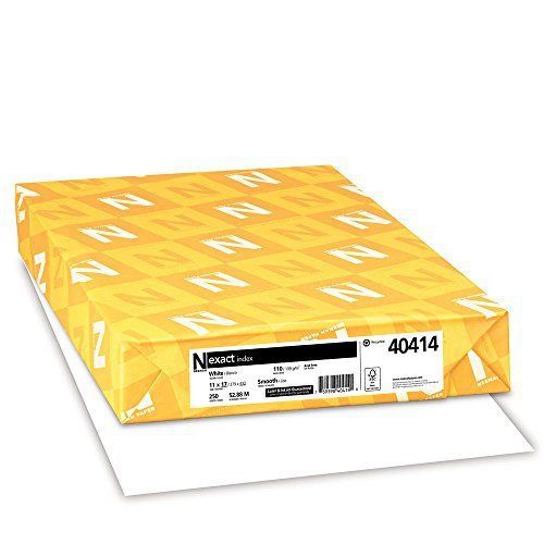 Neenah Exact Index 110 Lb 11 x 17 Inches 250 Sheets White 94 Brightness Office