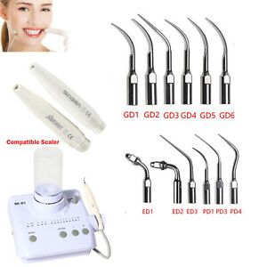 Dental Ultrasonic Scaler+ Handpiece Tips For DTE SATELEC Auto Bottles dosing SA