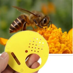 12 pcs/pack Beekeepers Bee hive Nuc box Entrance gates Beekeeping Equipment SF