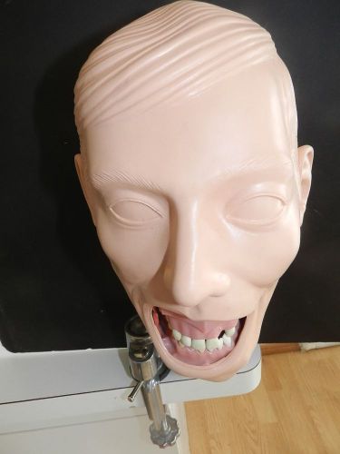 DENTAL MANIKIN HEAD DENTOFORM