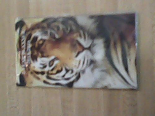 2015/2016 2 year Daily Planner Laminated with Tiger emblem