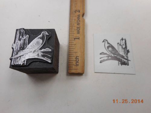 Printing Letterpress Printers Block, Dove like Bird on Decaying Tree