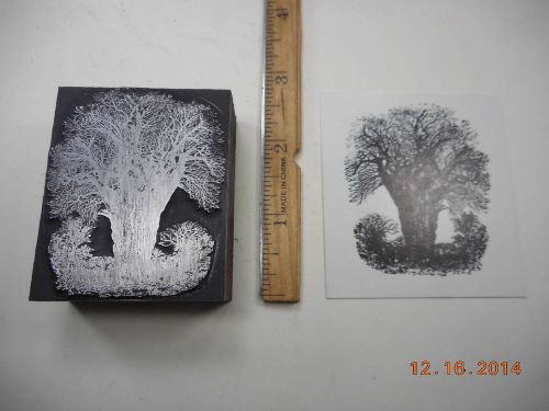 Letterpress Printing Printers Block, Interesting Thick Tree