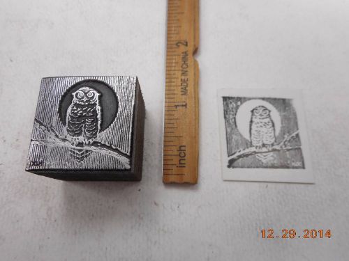 Printing Letterpress Printers Block, Staring Owl Bird highlighted by Full Moon