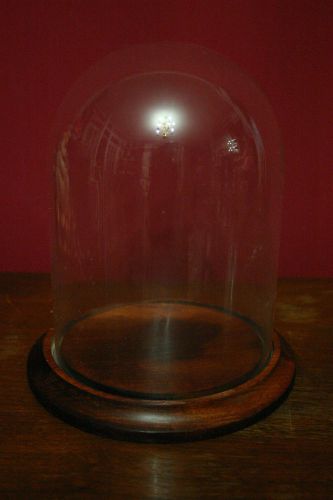 Glass Dome 6&#034; X 8&#034;  with 7 3/8&#034; Wood Finished Base Display