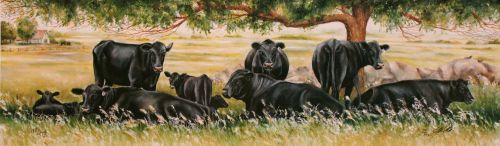 LARGE LANDSCAPE FARM ART PRINTS BLACK ANGUS CATTLE COWS PASTURE TONI GROTE ap